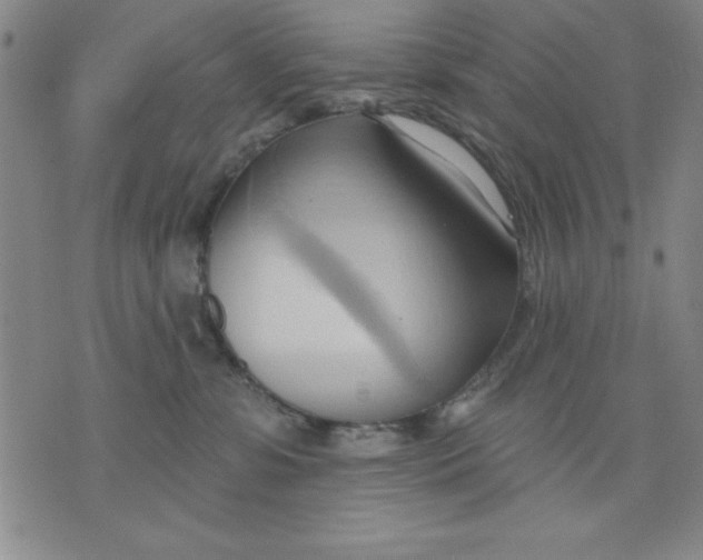 X0000076220331200610191539