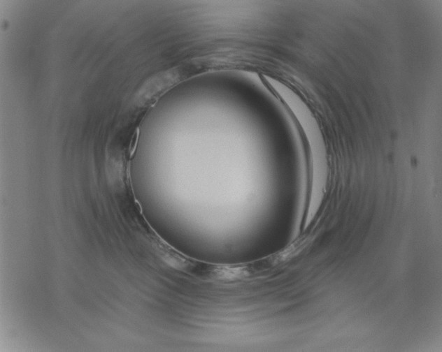 X0000076220333200610191539