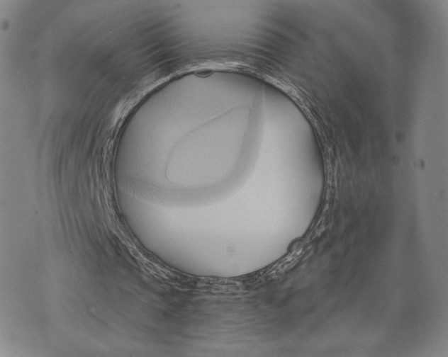 X0000076220337200610191538