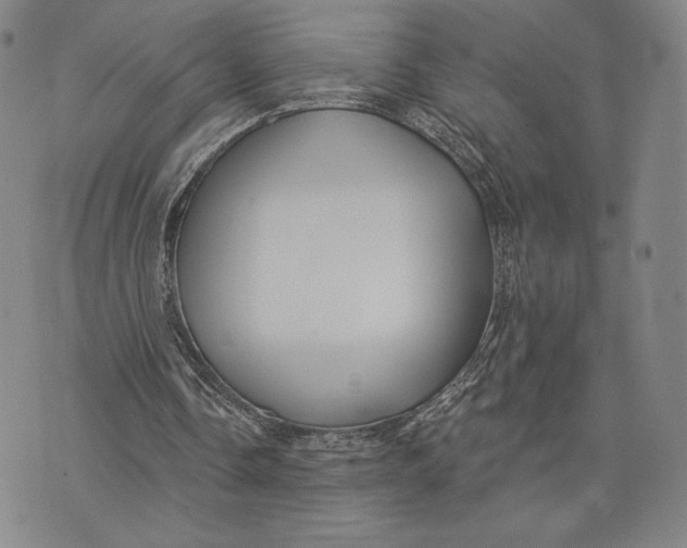 X0000076220338200610191538