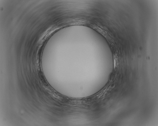 X0000076220339200610191538