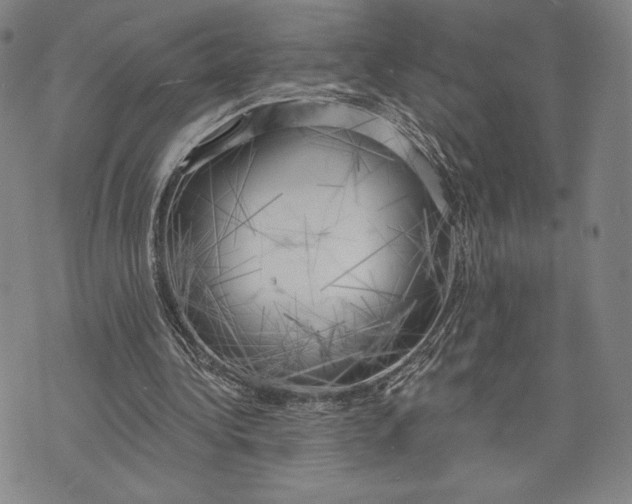 X0000076220340200610191538