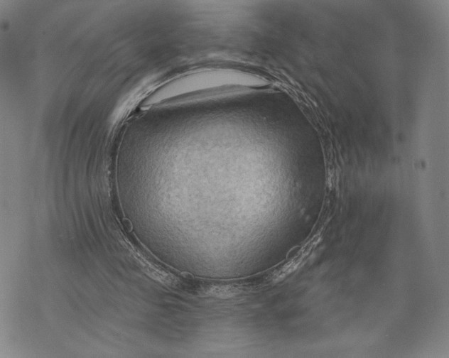 X0000076220341200610191538