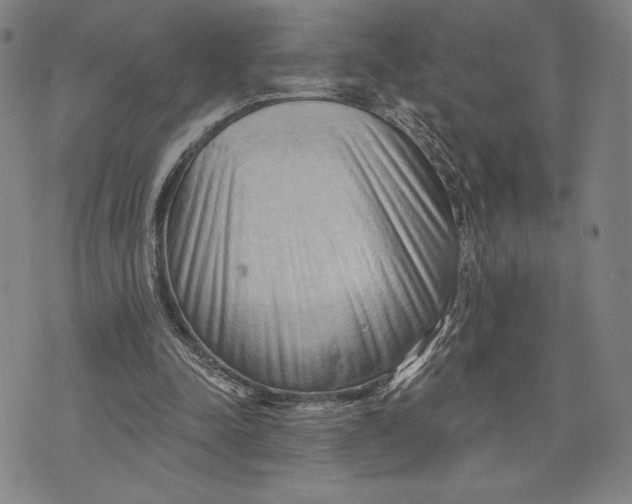 X0000076220342200610191538