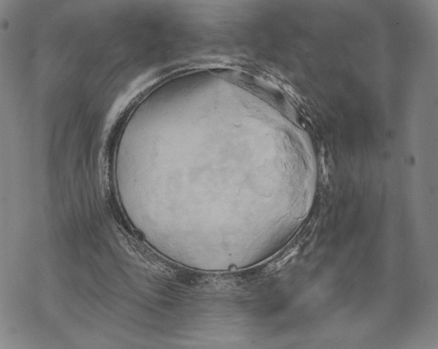 X0000076220343200610191538