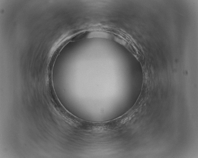 X0000076220344200610191538