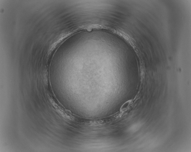 X0000076220345200610191538