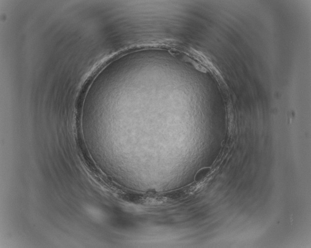 X0000076220346200610191538