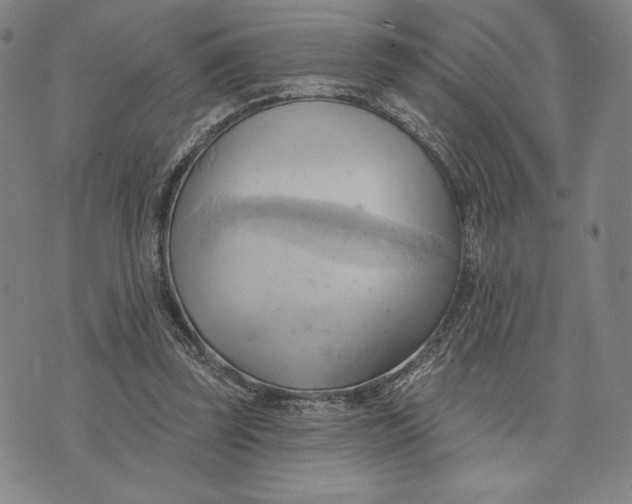 X0000076220347200610191538