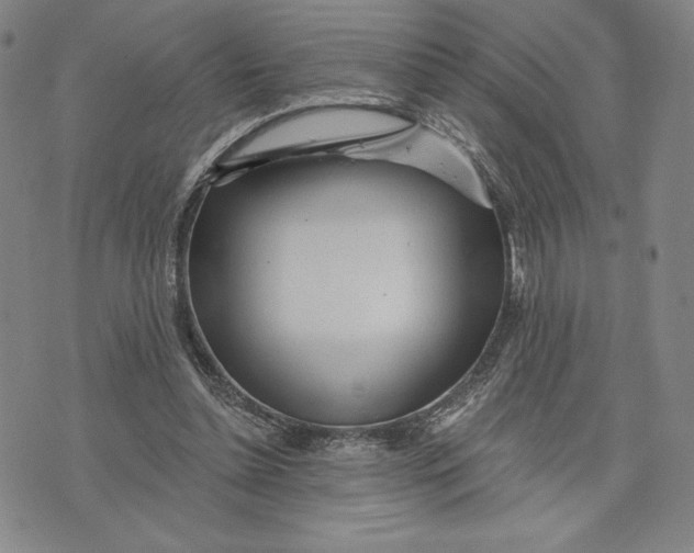 X0000076220348200610191538