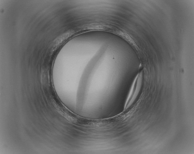 X0000076220349200610191538