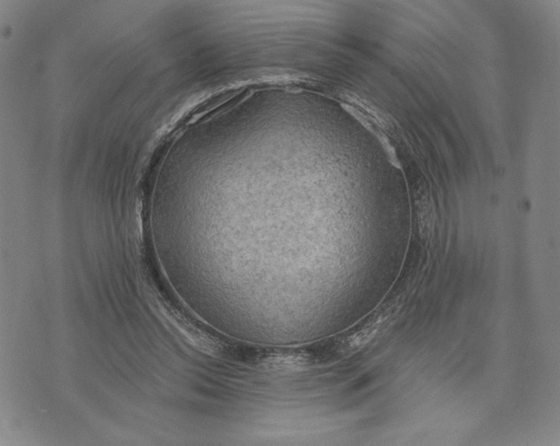 X0000076220350200610191538