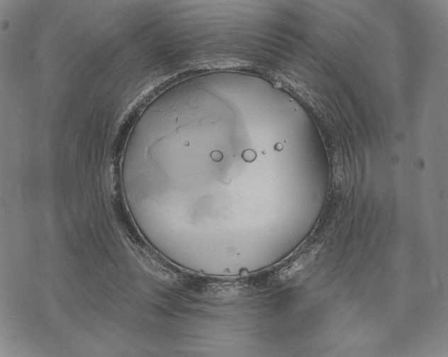 X0000076220351200610191538