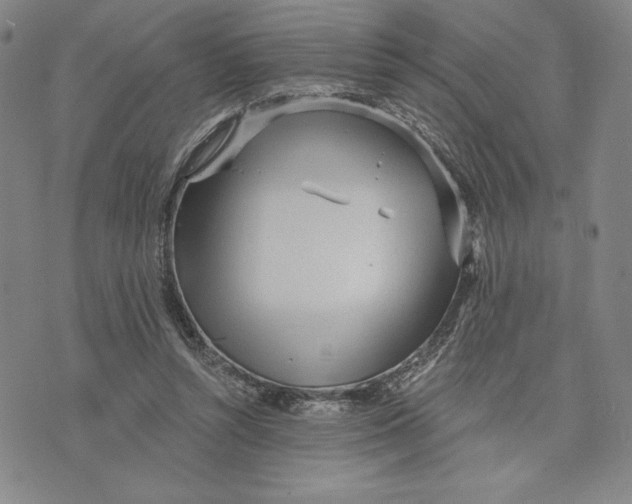 X0000076220352200610191538