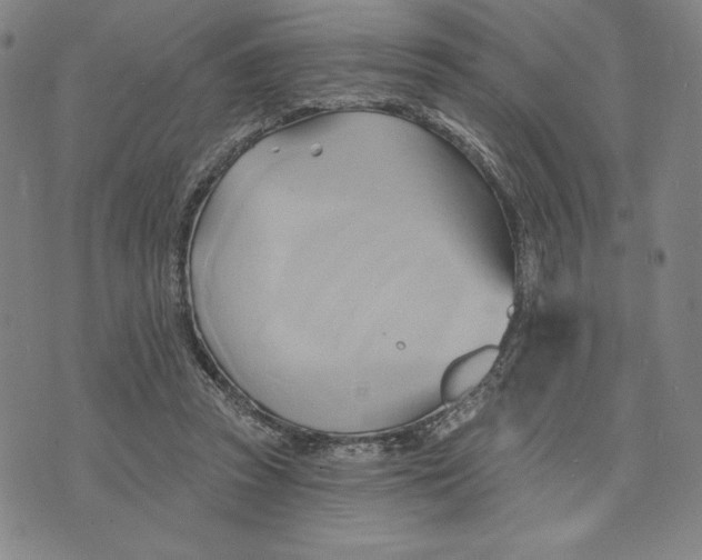 X0000076220353200610191538