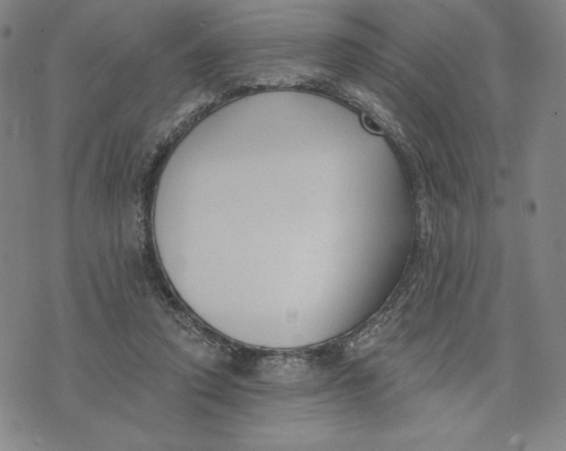 X0000076220354200610191538