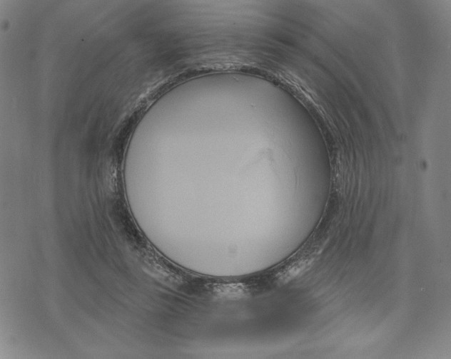 X0000076220355200610191538