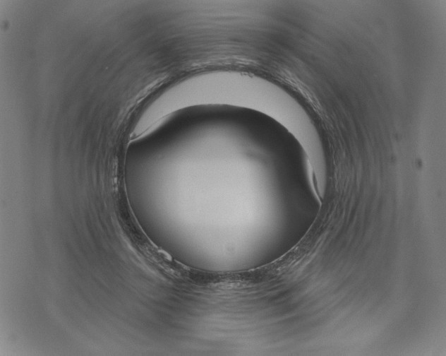 X0000076220356200610191538