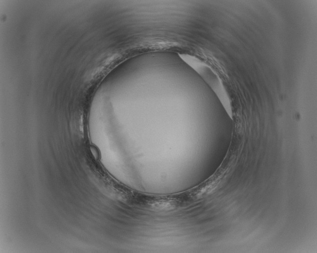 X0000076220358200610191538