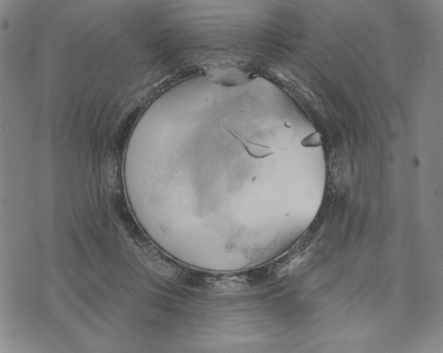 X0000076220359200610191538