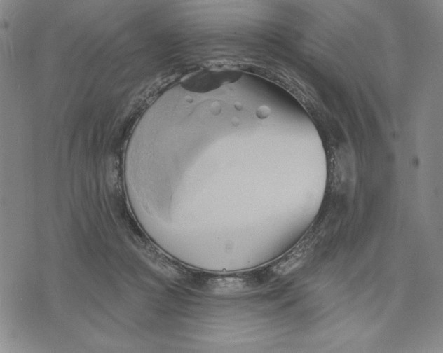 X0000076220361200610191538