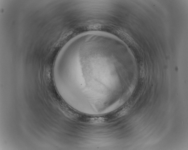 X0000076220363200610191539