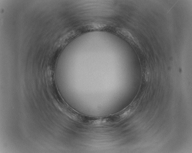 X0000076220366200610191539