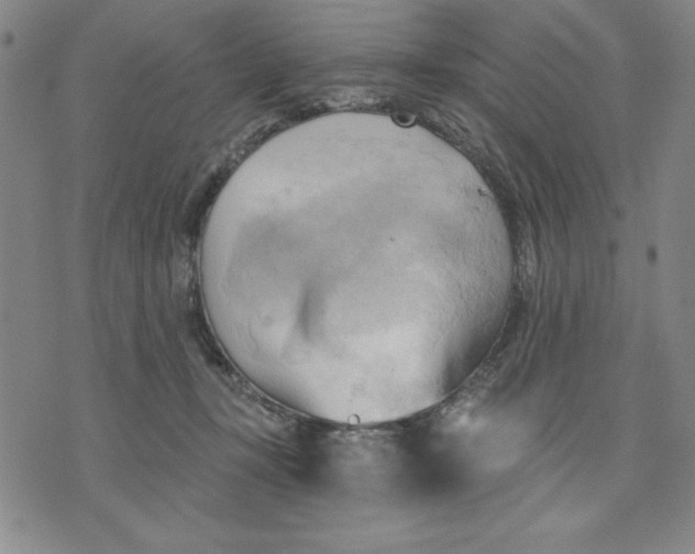 X0000076220367200610191539