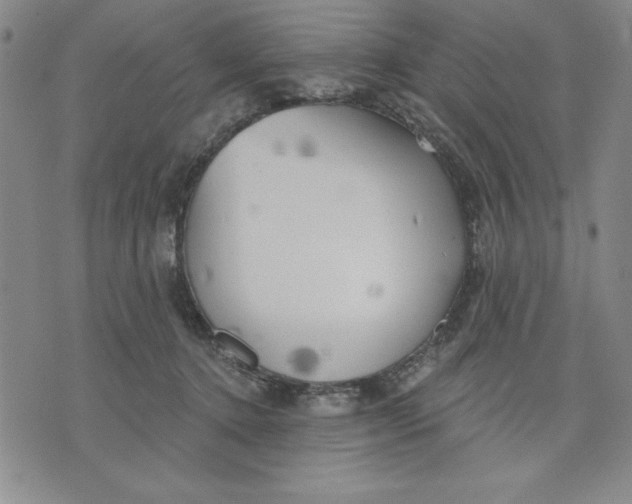 X0000076220368200610191539