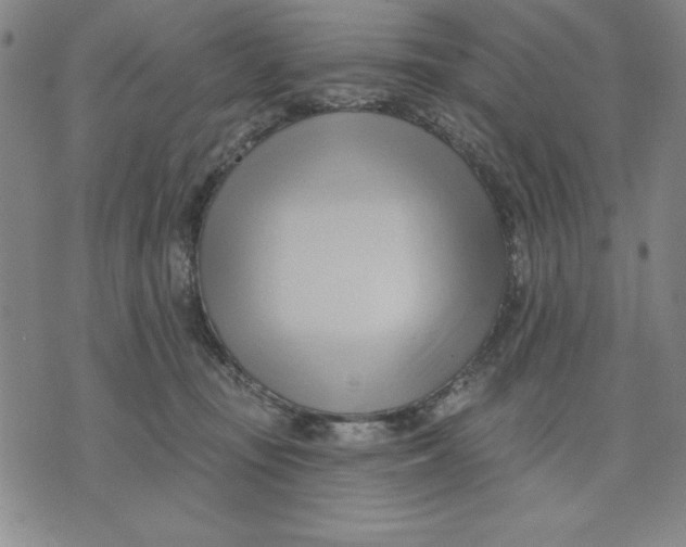 X0000076220371200610191539