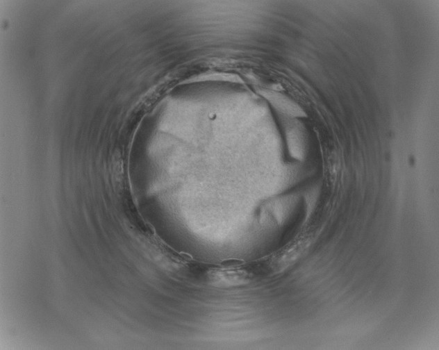 X0000076220372200610191539