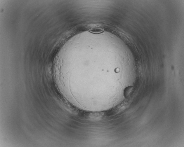 X0000076220373200610191539