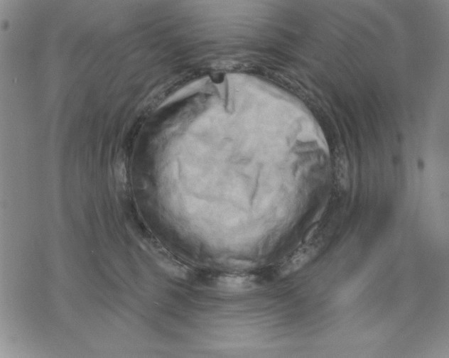 X0000076220375200610191539