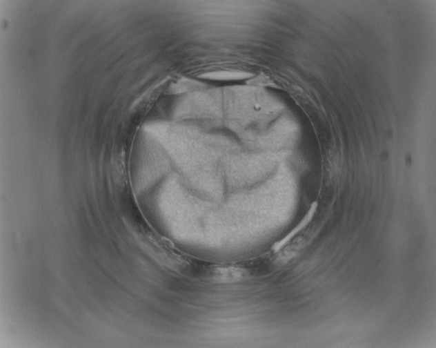 X0000076220376200610191539