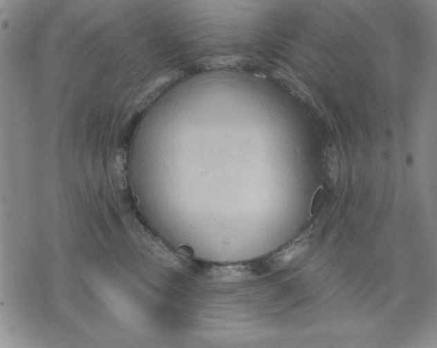 X0000076220378200610191539