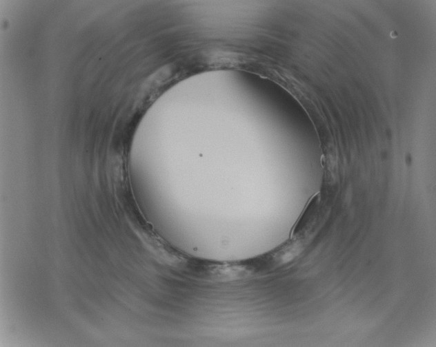 X0000076220379200610191539