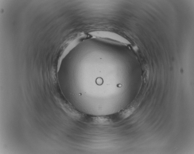 X0000076220380200610191539