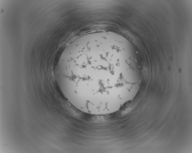 X0000076220381200610191539