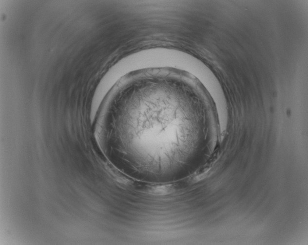 X0000076220382200610191539