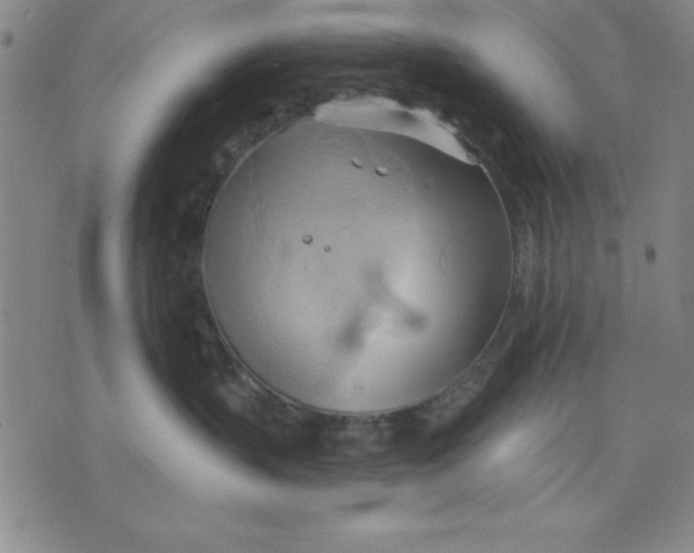 X0000076220383200610191539