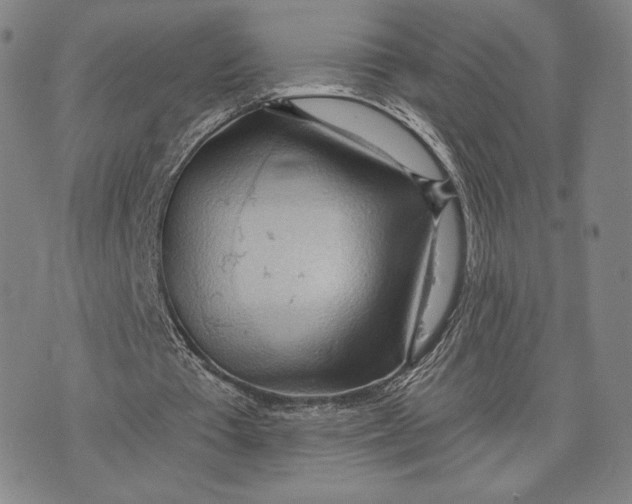 X0000076220385200610191538