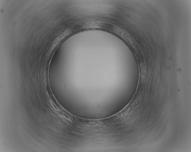 X0000076220386200610191538