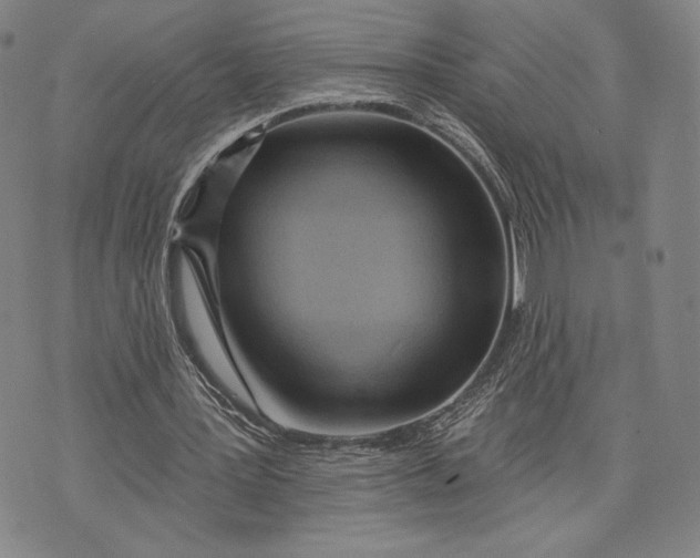 X0000076220387200610191538