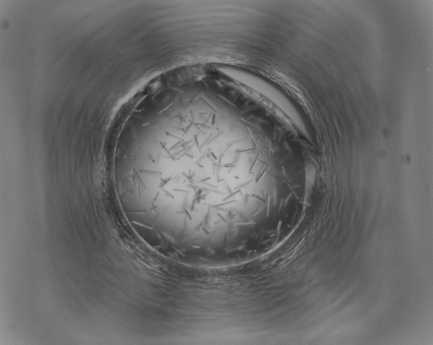 X0000076220388200610191538