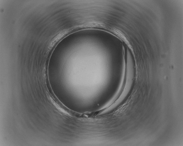 X0000076220389200610191538