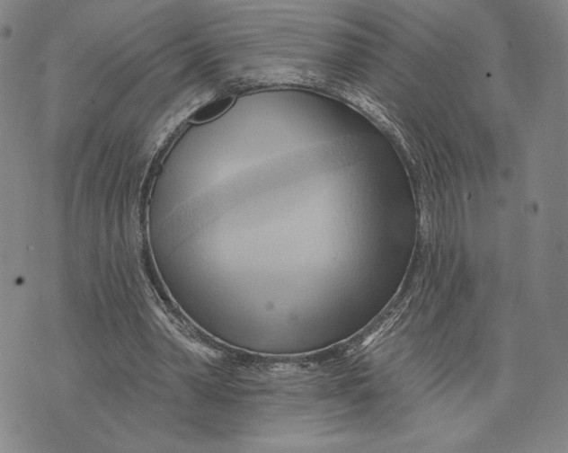 X0000076220390200610191538