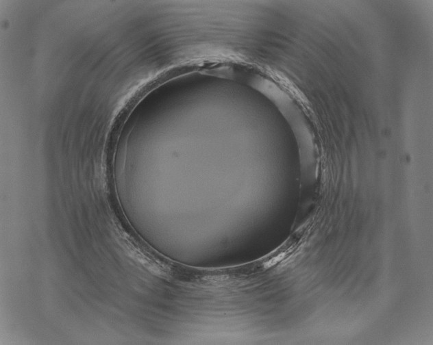 X0000076220391200610191538