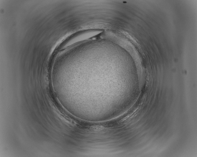 X0000076220392200610191538