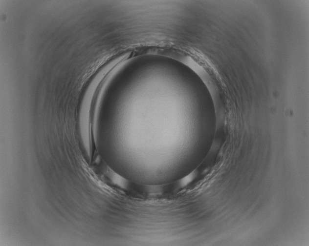 X0000076220393200610191538