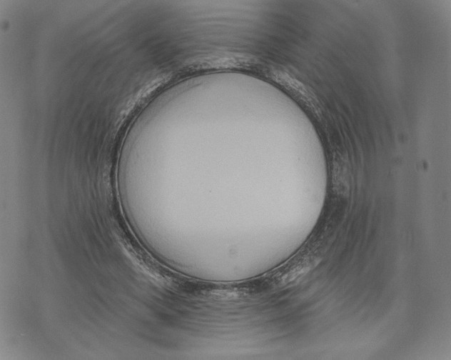 X0000076220394200610191538